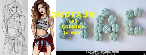 PSILOCYBIN Богородицк