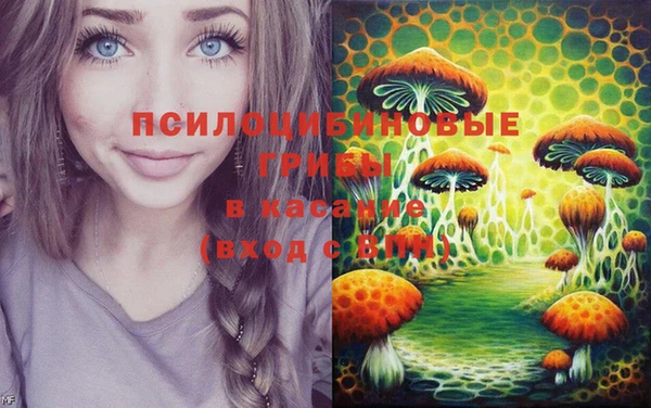 MDMA Богданович