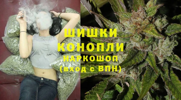 PSILOCYBIN Богородицк